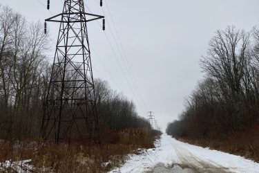 A snow-covered dirt road lined with trees and vegetation, featuring a large power line tower on the left. A puddle sits on the right side of the road, reflecting the cloudy sky above. Blind Line mountain bike trail.