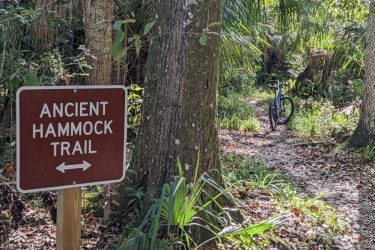 Sign for the Ancient Hammock Trail surrounded by lush greenery, with a blue bicycle leaning against a tree on a dirt path.