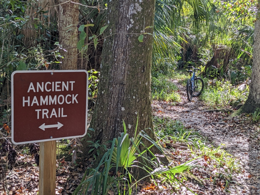 Sign for the Ancient Hammock Trail surrounded by lush greenery, with a blue bicycle leaning against a tree on a dirt path.