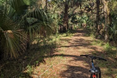 A blue bicycle rests on a nature trail surrounded by lush greenery and palm trees. The path is shaded by tall trees, and fallen leaves cover the ground, suggesting a serene, wooded environment under a clear sky. Highlands Hammock State Park mountain bike trail.