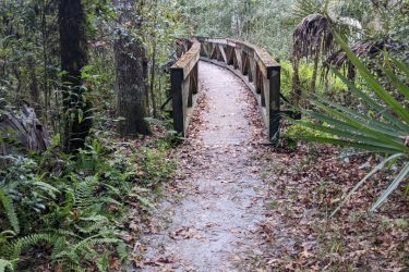 A winding wooden bridge leads through a lush green forest, surrounded by tall trees and dense foliage. The path is covered in fallen leaves, creating a natural, serene atmosphere in the wilderness. Highlands Hammock State Park mountain bike trail.