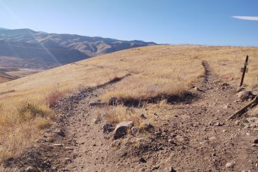 A dirt trail winding through dry, golden grass on a hillside, with distant mountains under a clear blue sky. A wooden signpost stands to the right, indicating the direction of the path. Green Mountain mountain bike trail.