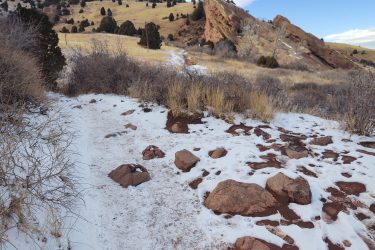 A snow-covered trail winding through a rocky landscape with dry grasses and bushes, leading towards reddish rock formations under a clear blue sky. The scene captures a serene outdoor environment in a mountainous area. Red Rocks / Dakota Ridge mountain bike trail.
