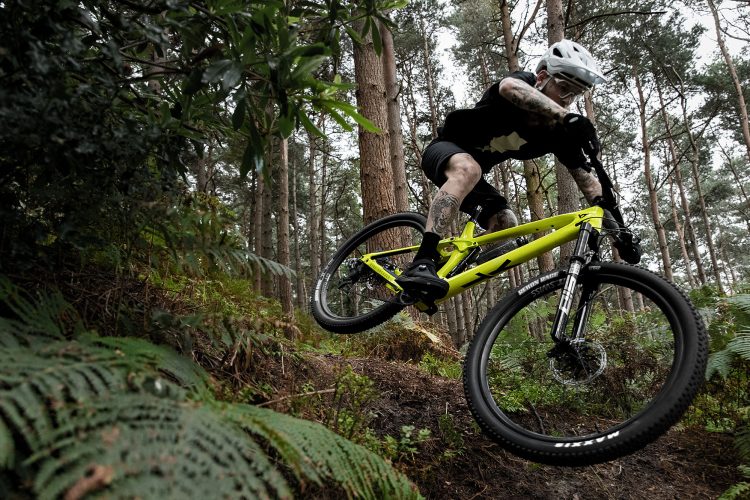 A mountain biker with tattoos performs a jump on a bright yellow bike through a forested trail surrounded by trees and ferns. The rider is wearing a helmet and sports gear, showcasing an action-packed moment in nature.