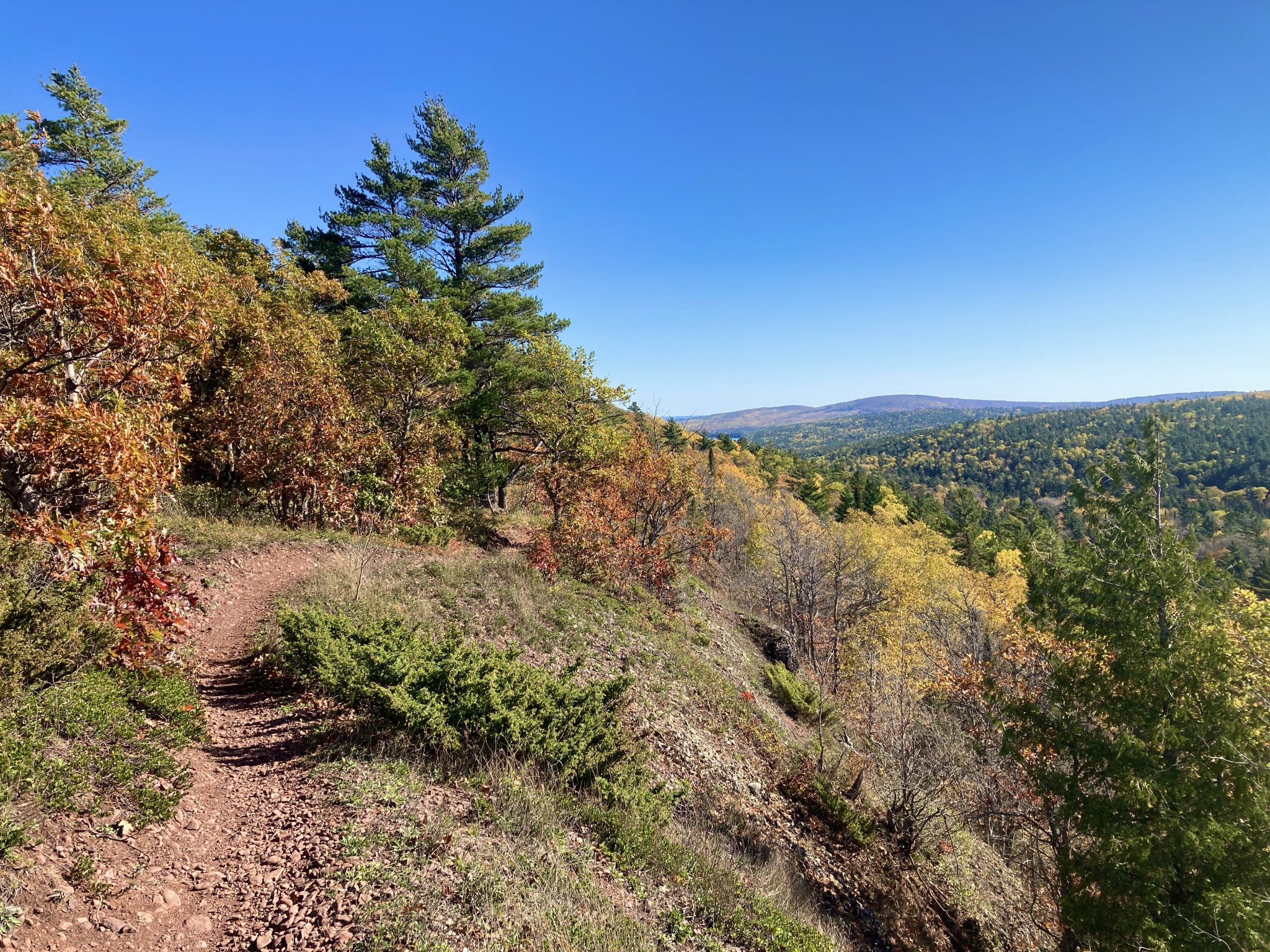 The MTB Trails That Helped Popularize Copper Harbor Have Been Shut Down. However, Relief May Be