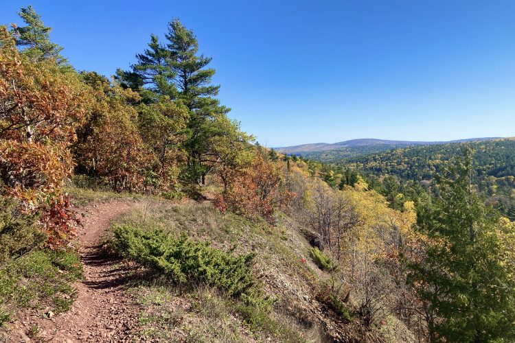 A winding dirt trail through a colorful forest on a sunny day, showcasing bright blue skies and a backdrop of rolling hills with trees in shades of green, orange, and yellow.