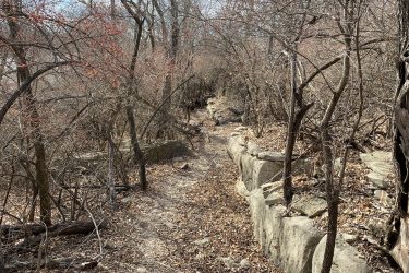 A narrow, winding path through a wooded area, lined with bare trees and scattered leaves on the ground. Some branches have small red buds, hinting at early spring. A rocky ledge runs alongside the trail, enhancing the natural scenery. The image is set in a mostly clear sky. Lake Ponca Trails mountain bike trail.
