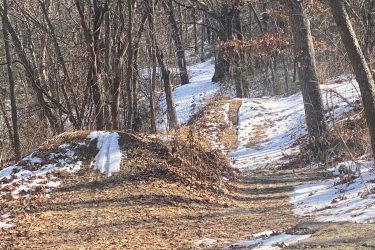 A snow-covered forest pathway winding through trees, with fallen leaves scattered on the ground. The path is partially obscured by snow, leading into the distance and surrounded by bare branches. Landahl Park Reserve mountain bike trail.