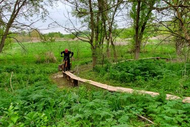 A person in a red helmet rides a mountain bike along a narrow wooden bridge in a lush green forest. Surrounding the path is dense foliage, including tall grass and trees, under a cloudy sky. The scene captures the thrill of biking in nature while navigating a winding trail. Creekside Trails mountain bike trail.