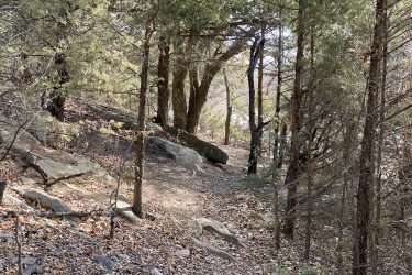 A winding dirt path surrounded by trees and rocky terrain, with fallen leaves scattered on the ground. Sunlight filters through the branches, creating a peaceful, natural atmosphere. Lake Ponca Trails mountain bike trail.