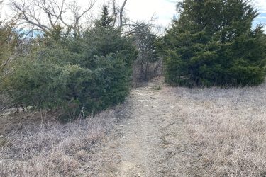 A narrow dirt path surrounded by green shrubbery and bare trees, leading into a natural landscape with dry grass. The sky is partly cloudy, suggesting a cool and tranquil outdoor setting. Lake Ponca Trails mountain bike trail.