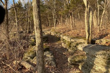 A rocky path winding through a forest, lined with large stone slabs covered in moss. Tall trees with sparse leaves surround the pathway, and sunlight filters through, creating a serene and natural atmosphere. Fallen leaves and branches are scattered along the ground. Landahl Park Reserve mountain bike trail.