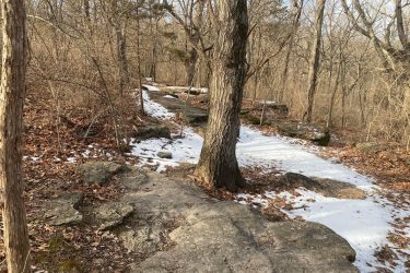 A winding trail through a forest, featuring rocky outcrops and patches of snow, surrounded by trees with bare branches and scattered autumn leaves on the ground. Landahl Park Reserve mountain bike trail.