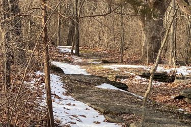 A narrow trail winding through a wooded area, with patches of snow on the ground and scattered fallen leaves. The scene features bare trees and rocky terrain, creating a serene, natural atmosphere. Landahl Park Reserve mountain bike trail.