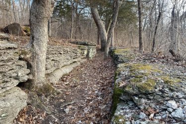 A narrow path lined with moss-covered stone ledges and surrounded by bare trees, with fallen leaves scattered on the ground. The scene conveys a tranquil, wooded area in early spring or late winter. Landahl Park Reserve mountain bike trail.