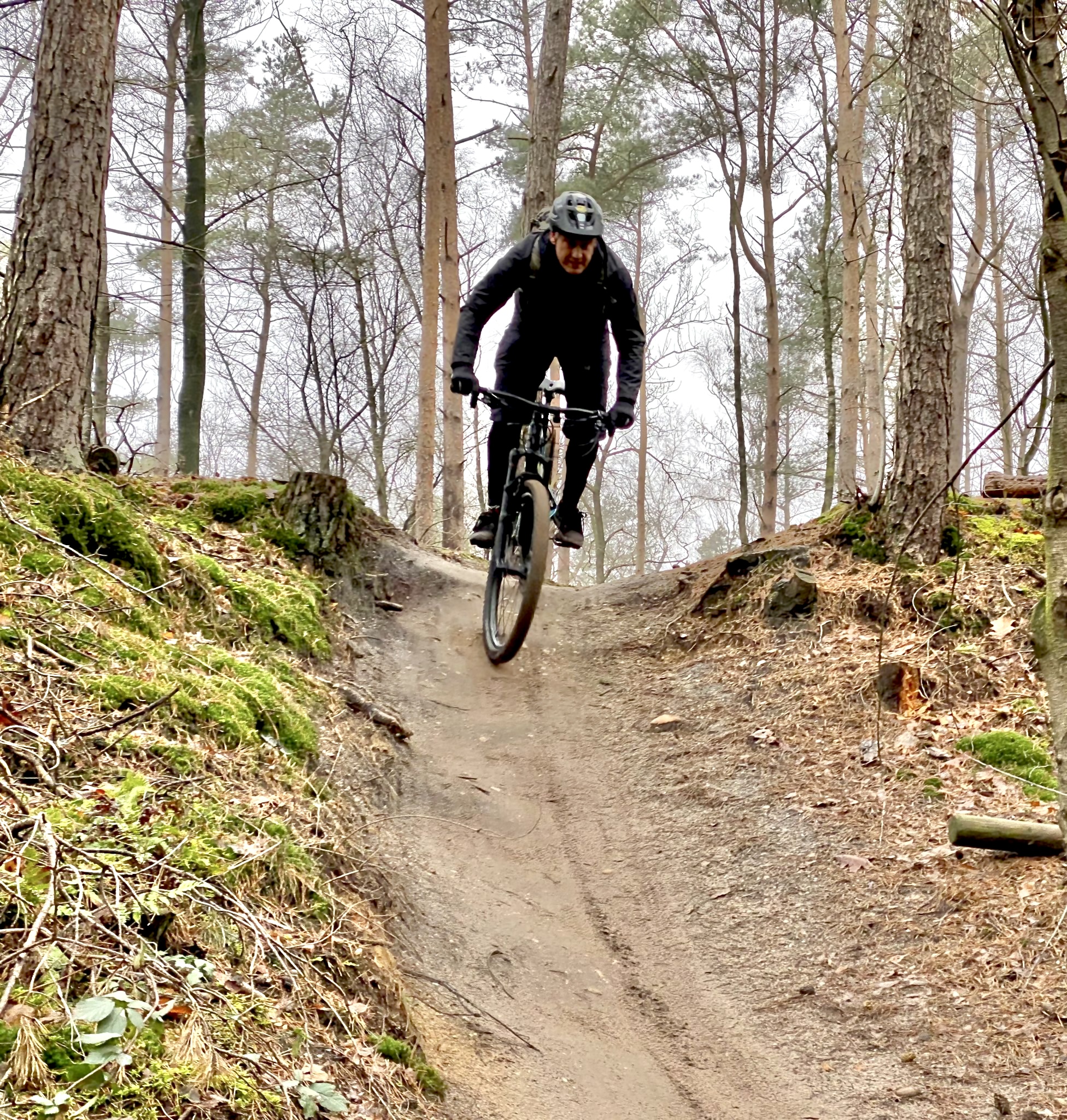 A mountain biker in black attire is jumping off a dirt path on a forest trail, surrounded by trees and mossy ground. The scene captures a dynamic moment of outdoor adventure in a natural setting. MTB purple trail. mountain bike trail.