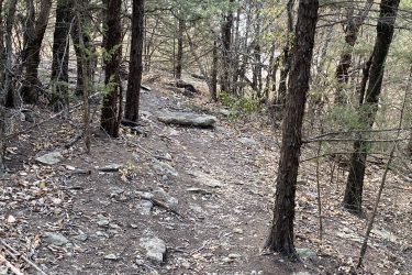 A narrow dirt path winds through a dense forest, bordered by tall trees and scattered rocks. Fallen leaves cover the ground, hinting at the autumn season, while sunlight filters softly through the branches above. Lake Ponca Trails mountain bike trail.