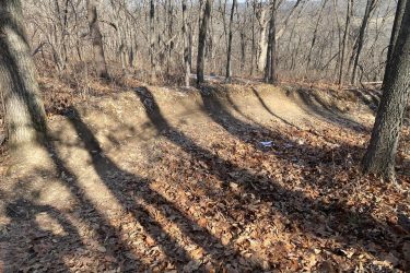 A wooded area with bare trees casting long shadows on a path covered in fallen leaves. The ground features a slight incline visible in the background, indicating a natural landscape during late autumn or early winter. Landahl Park Reserve mountain bike trail.