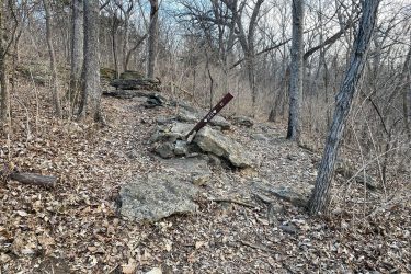 A narrow trail winding through a wooded area with bare trees and scattered rocks. A weathered trail sign is leaning against a rock, indicating the direction or name of the path. Fallen leaves cover the ground, suggesting an autumn or early spring setting. Landahl Park Reserve mountain bike trail.