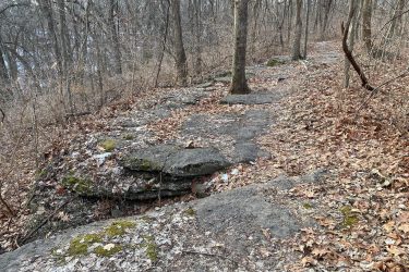 A rocky pathway winding through a wooded area, with a carpet of fallen leaves covering the ground and some moss on the rocks. Bare trees are visible in the background, suggesting a late autumn or winter setting. Landahl Park Reserve mountain bike trail.