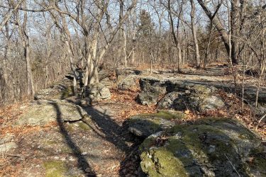 A rocky pathway through a wooded area, featuring bare trees and patches of moss on the stones. The ground is covered with fallen leaves, and the scene is illuminated by natural sunlight, creating shadows from the trees. Landahl Park Reserve mountain bike trail.