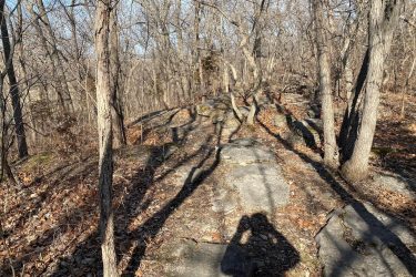 A rocky trail lined with bare trees and scattered leaves, with shadows cast on the ground. The scene conveys a serene, natural environment during late fall or winter. Landahl Park Reserve mountain bike trail.