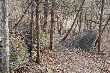 A narrow, winding trail through a forest with bare trees and scattered leaves, flanked by large rocks covered in moss. The scene conveys a quiet, natural environment, hinting at an outdoor hike or exploration. Landahl Park Reserve mountain bike trail.