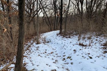 Snow-covered path winding through a forest with bare trees and scattered leaves, suggesting a winter scene. Landahl Park Reserve mountain bike trail.