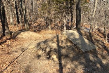 A dirt path winding through a wooded area, featuring a raised section of terrain with rocks and leaves scattered on the ground. Sunlight filters through the trees, creating a dappled light effect on the uneven surface. Landahl Park Reserve mountain bike trail.