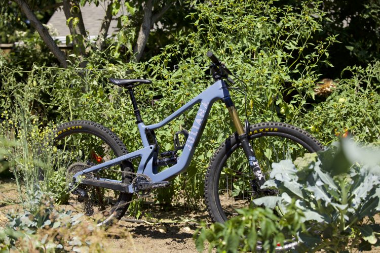 A blue mountain bike with the brand name "Juliana" on the frame is positioned among lush green plants and vegetables in a garden setting. The bike features thick tires and a modern design, partially obscured by the surrounding foliage.