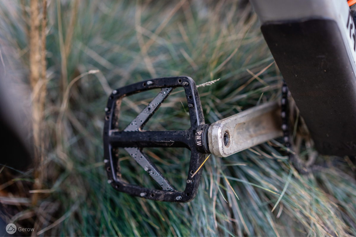 dual link pedals shoes