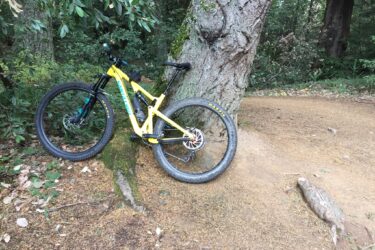 A yellow mountain bike rests against a tree in a forested area, surrounded by greenery and fallen leaves. The bike is positioned on a dirt path, with a tire partially touching the ground. El Corte De Madera Creek Open Space mountain bike trail.