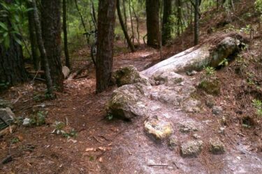 A winding forest trail with scattered rocks and pine needles, surrounded by tall trees. A bicycle is partially visible in the background. The path is natural and slightly rugged, indicating a peaceful outdoor setting. Ern N Burn mountain bike trail.