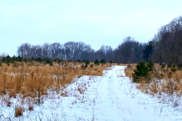 A snow-covered path winding through a field with sparse grass and scattered trees in the background, under a cloudy sky. St Willams Conservation Reserve mountain bike trail.