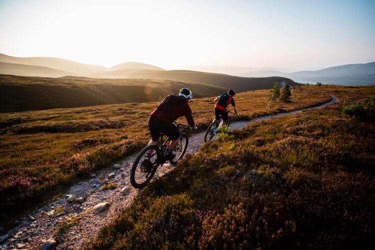 Two mountain bikers riding on a scenic gravel trail through a lush, green landscape at sunset, with rolling hills and distant mountains in the background. The warm sunlight bathes the scene in golden hues, highlighting the natural beauty of the surroundings.