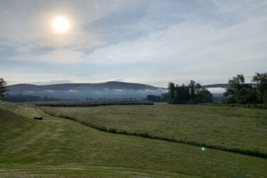 A serene landscape featuring rolling green hills under a clear sky with the sun shining brightly. In the background, there are misty mountains and a grove of trees, while a field of grass extends in the foreground. The scene captures a peaceful morning atmosphere. Circuit Frontières mountain bike trail.