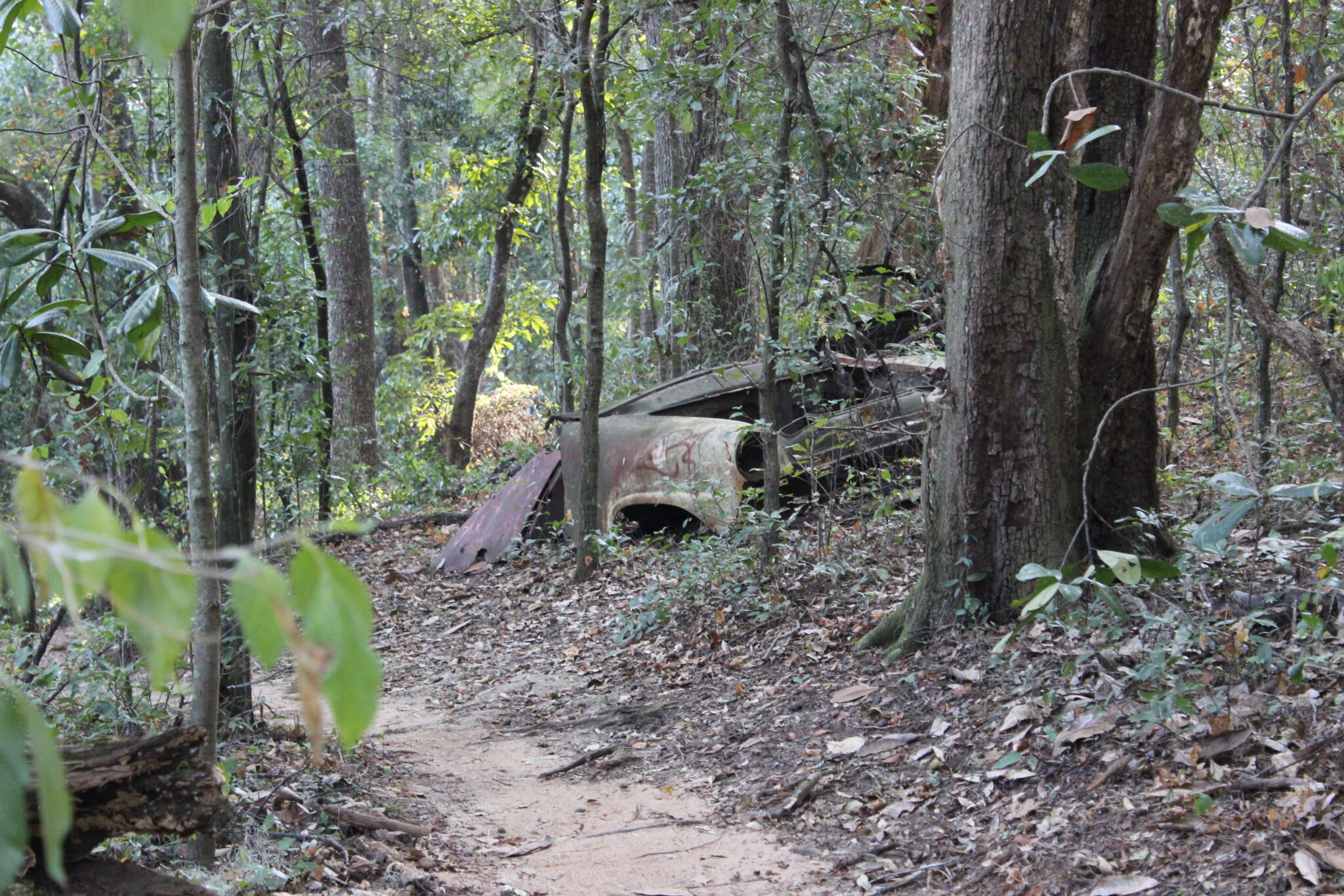 Ride Like a Local Finding Fun and Flow on the Best Tallahassee Bike