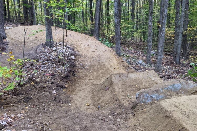 A winding dirt bike trail through a forested area, featuring a sandy path with small jumps and rocky elements, surrounded by trees and autumn foliage.