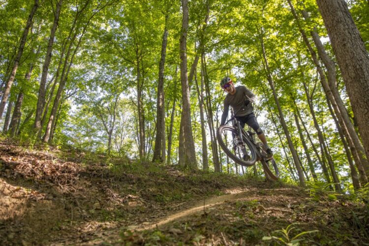 A mountain biker jumps off a dirt trail in a lush green forest, surrounded by tall trees and bright foliage. The cyclist is captured mid-air with an intense focus, wearing a helmet and casual cycling attire. Sunlight filters through the trees, highlighting the vibrant greenery of the scene.