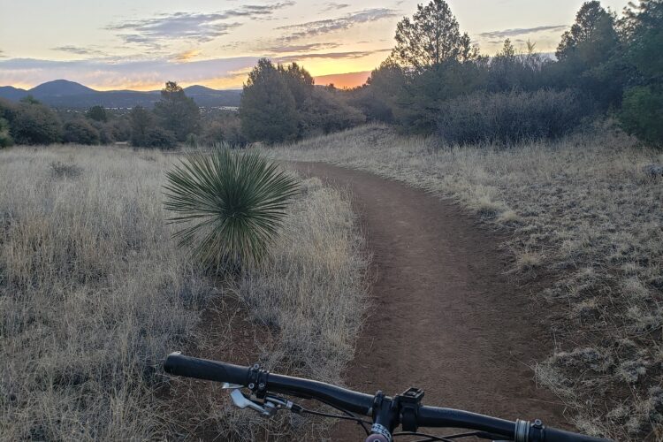A mountain biking view along a dirt trail surrounded by grass and shrubs, with a yucca plant in the foreground. The sun sets behind distant mountains, casting a warm glow in the sky. Fort Bayard Trail System mountain bike trail.