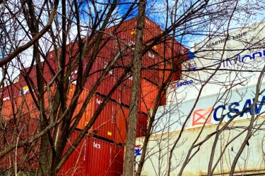 A cluster of shipping containers, mostly in red and green, is stacked on a slope. The containers are partially obscured by bare tree branches, with a clear blue sky visible in the background. The ground is uneven and earthy, indicating the natural landscape surrounding the industrial scene. Etobicoke Creek mountain bike trail.