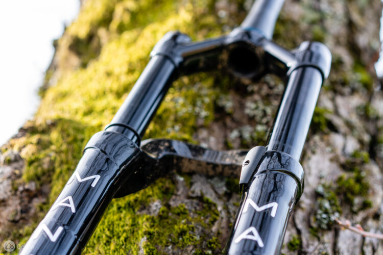Close-up image of a black bicycle fork mounted on a moss-covered tree, showcasing its shiny finish and branding details. The fork is angled to emphasize its structure and design against a natural background.
