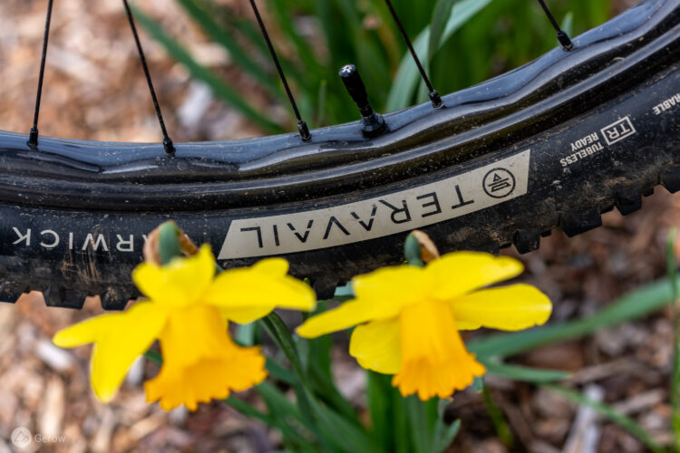 A close-up image of a bicycle tire resting on the ground, partially surrounded by bright yellow daffodils. The tire features visible branding and appears to have dirt on it, indicating recent use. The background consists of green foliage and mulch, creating a contrasting natural scene.