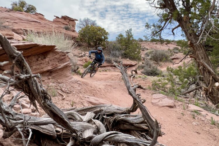 A mountain biker leans into a turn on a sandy trail surrounded by red rock formations and sparse vegetation. Twisted branches and a rugged landscape frame the scene, while a partly cloudy sky looms above.