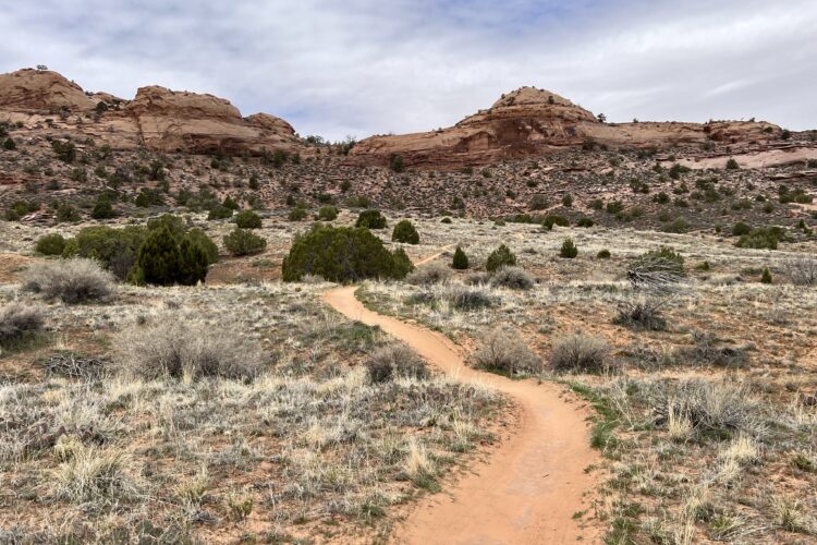 A winding dirt path leads through a desert landscape, surrounded by sparse vegetation, low shrubs, and rocky formations under a cloudy sky.