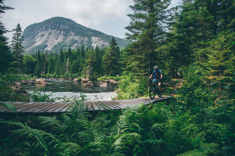 A mountain biker riding over a wooden bridge surrounded by lush greenery and ferns, with a river flowing nearby and a mountainous landscape in the background under a partly cloudy sky.