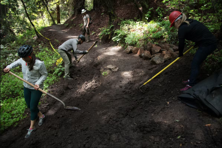 Group of four individuals working on a trail restoration project in a forested area. They are using tools like shovels and picks to move dirt and rocks. One person is wearing a red helmet, while others are equipped with helmets and gloves. Sunlight filters through the trees, illuminating the surrounding greenery and creating a vibrant outdoor scene.
