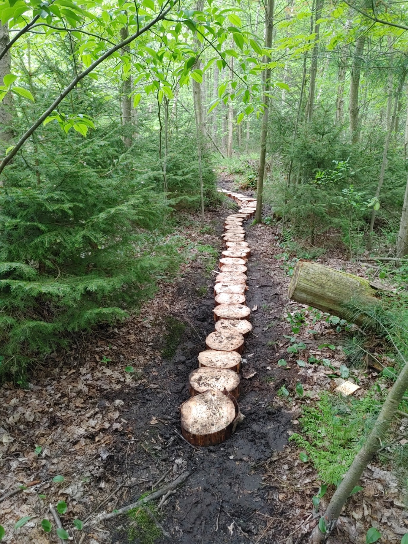 Turkey Point Mtb Turkey Point Provincial Park Mountain Bike Trail in Turkey Point ...