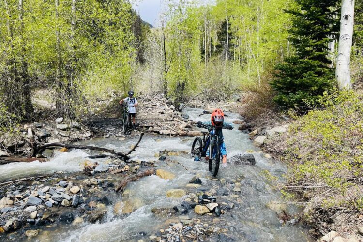 Two mountain bikers are navigating a rocky stream surrounded by lush green trees. One rider is standing in the water, holding onto their bike, while the other is positioned further back, near the stream's edge. The scene captures a vibrant, natural setting during springtime.