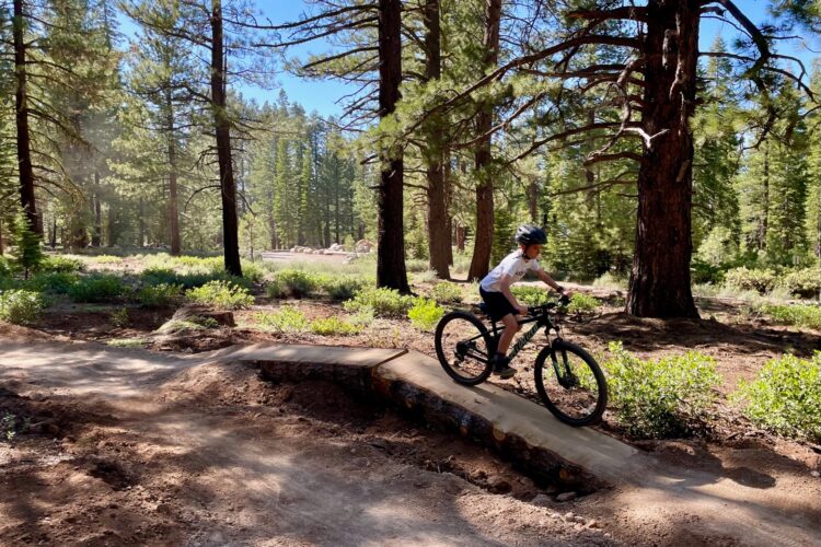 A child riding a mountain bike on a dirt path through a forest, with tall pine trees surrounding the area and sunlight filtering through the branches. The child is wearing a helmet and a white shirt, and there is a small ramp made of wood along the path.